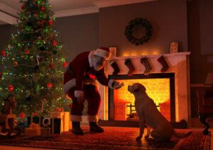 Dog Looking at Santa in Front of Fireplace