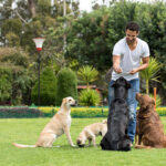 Happy man training dogs at the park and giving them treats