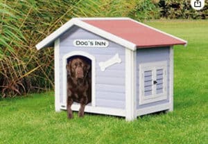A raised dog house with a chocolate labrador looking out of the dog house door, with a sign above the door saying Dogs Inn