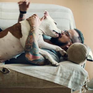 Man with tattoos and beard embracing his dog, staffordshire terrier, female animal 18 months old. Dog licking his face.