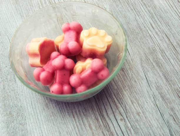 A glass bowl with some frozen fruit treats in the shape of dogs bones