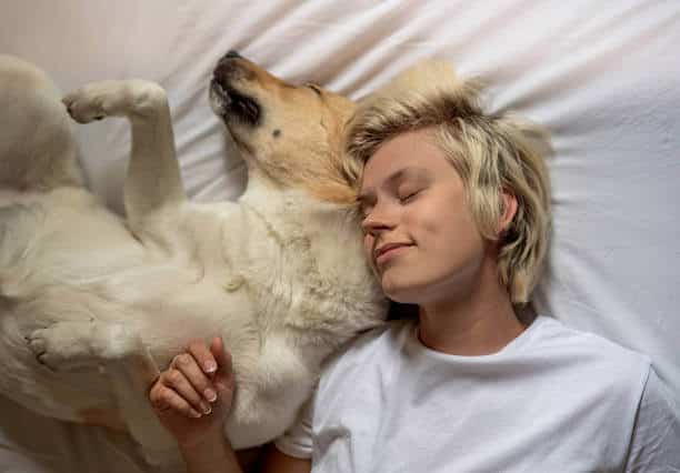Blond caucasian woman laying in the bed with her shepherd dog