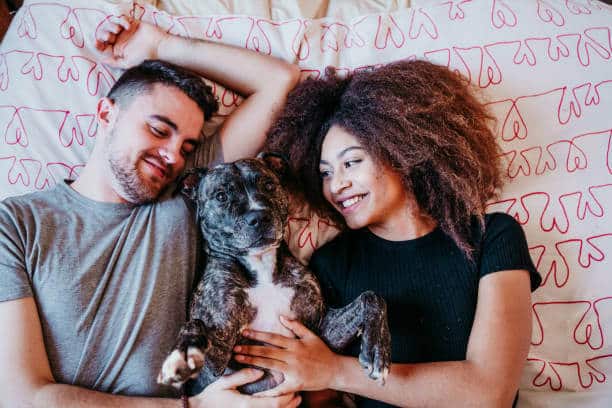 happy couple in love at home. Afro american woman, caucasian man and their pit bull dog together