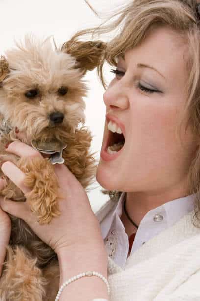 Woman Holding and Yelling at Terrier Dog