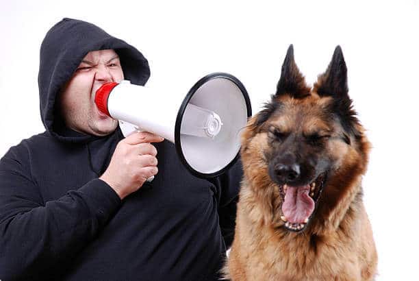 man is screaming to his dog through a megaphone which are things humans do that dogs hate