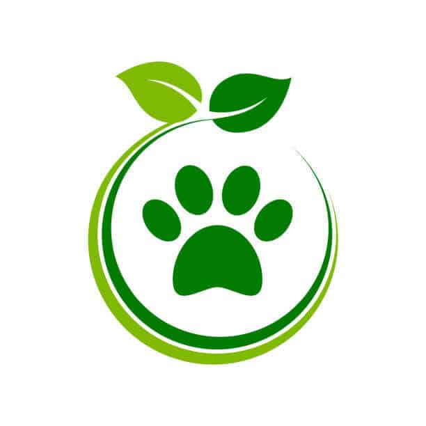 Organic pet store icon. Paw with green leaves inside circle. 