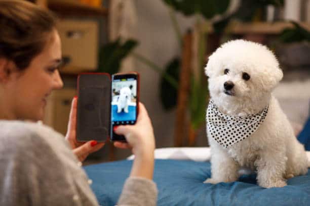 Young girl taking photo of her dog with mobile phone at home.