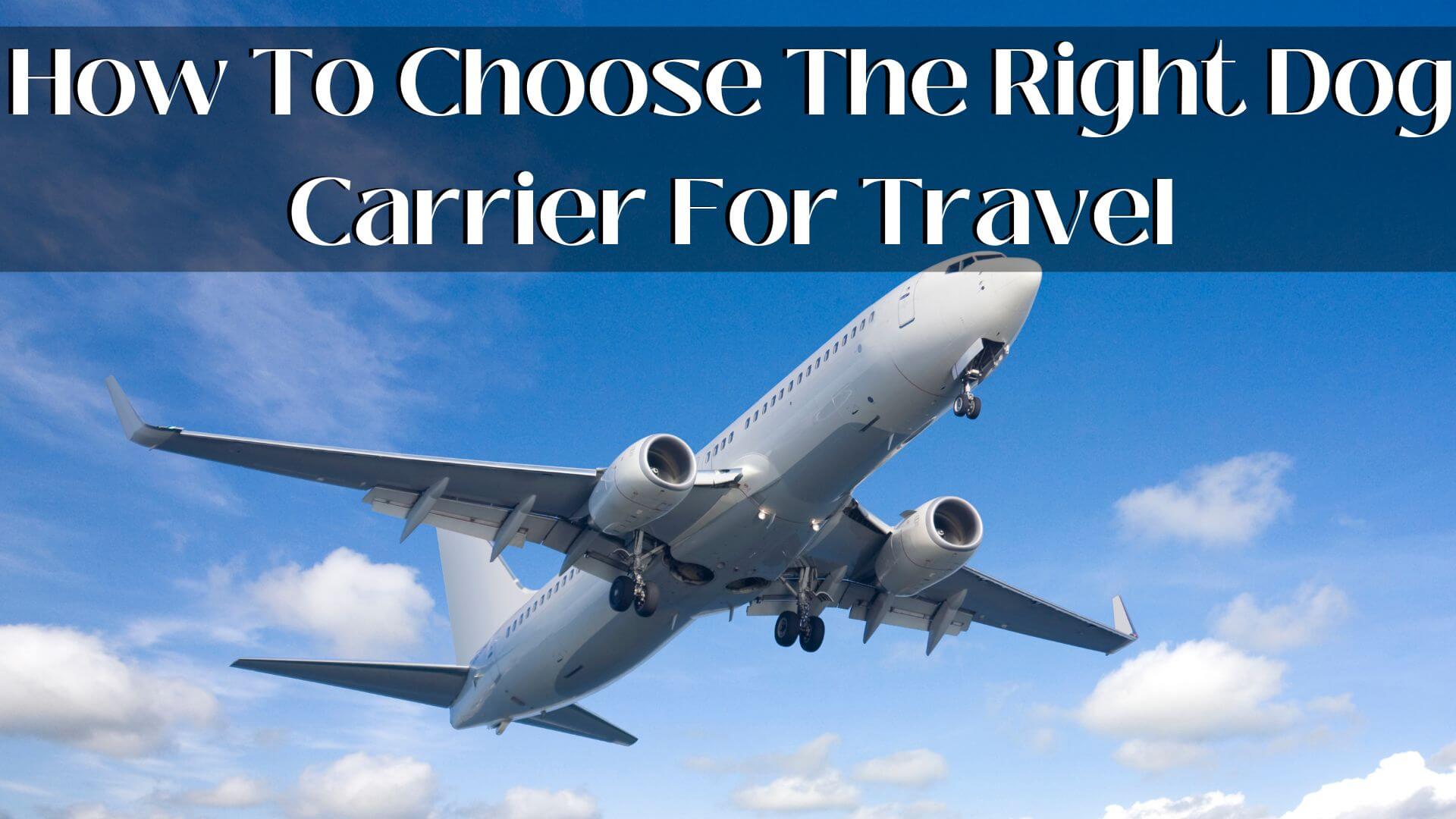 How To Choose The Right Dog Carrier For Travel