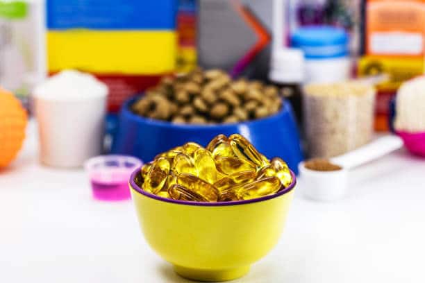 bowl with omega 3 capsules and pet food in the background, veterinary medicine. Food supplement for dogs, cats, fish or birds