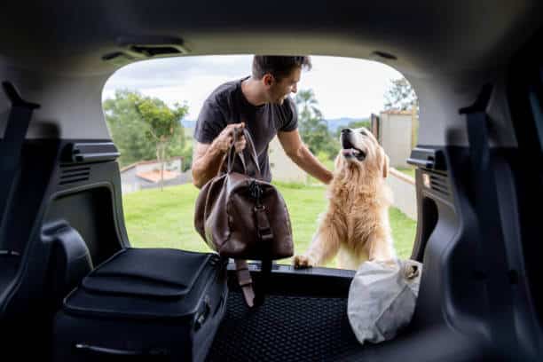 Happy Brazilian man going on a road trip with his dog and putting the bags in the trunk