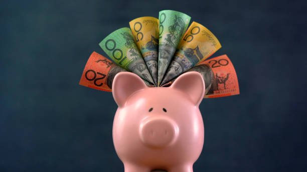 Pink Piggy bank money concept on dark blue background, stuffed with Australian cash.
